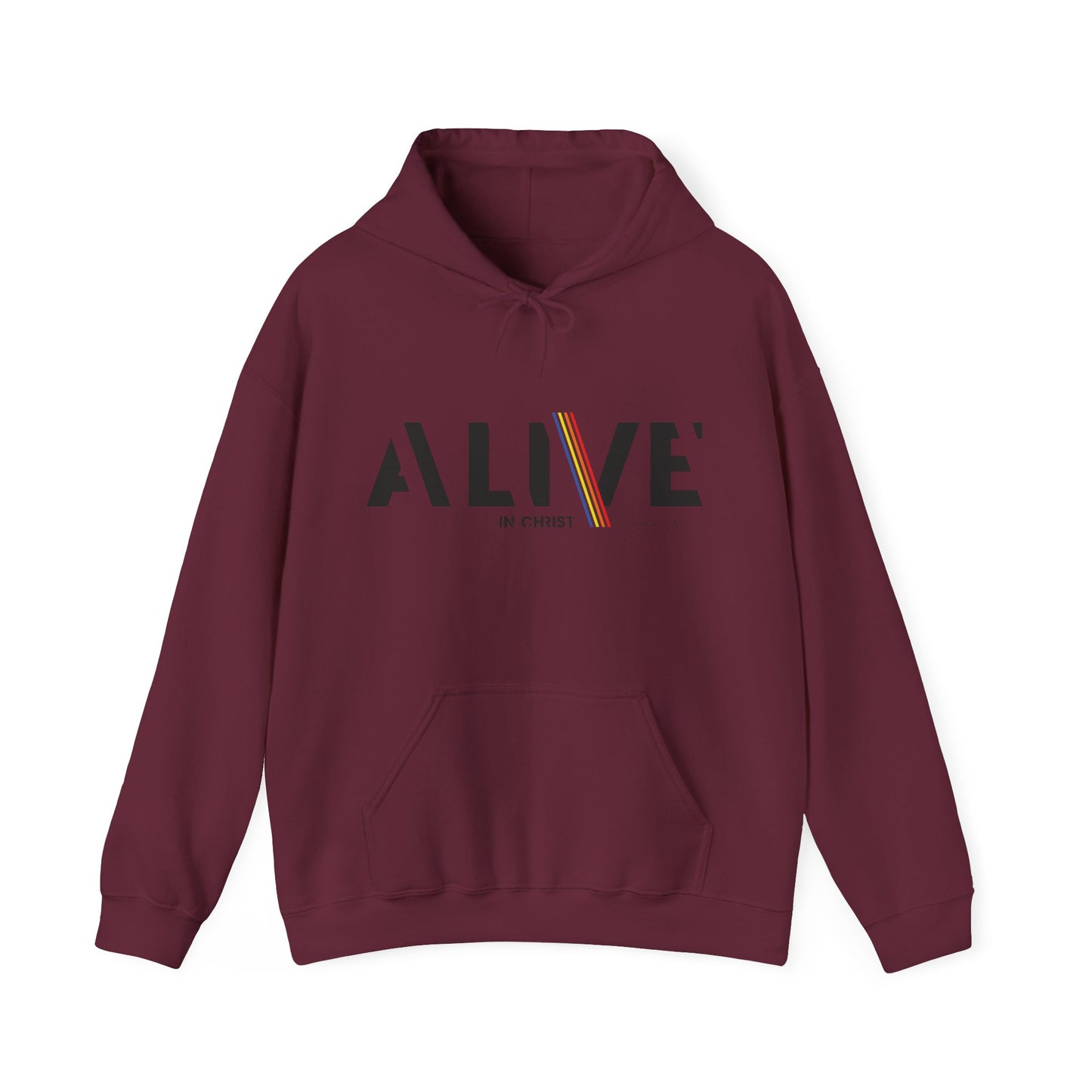 Alive in Christ -Unisex  Sweat-shirt à capuche Heavy Blend™ 